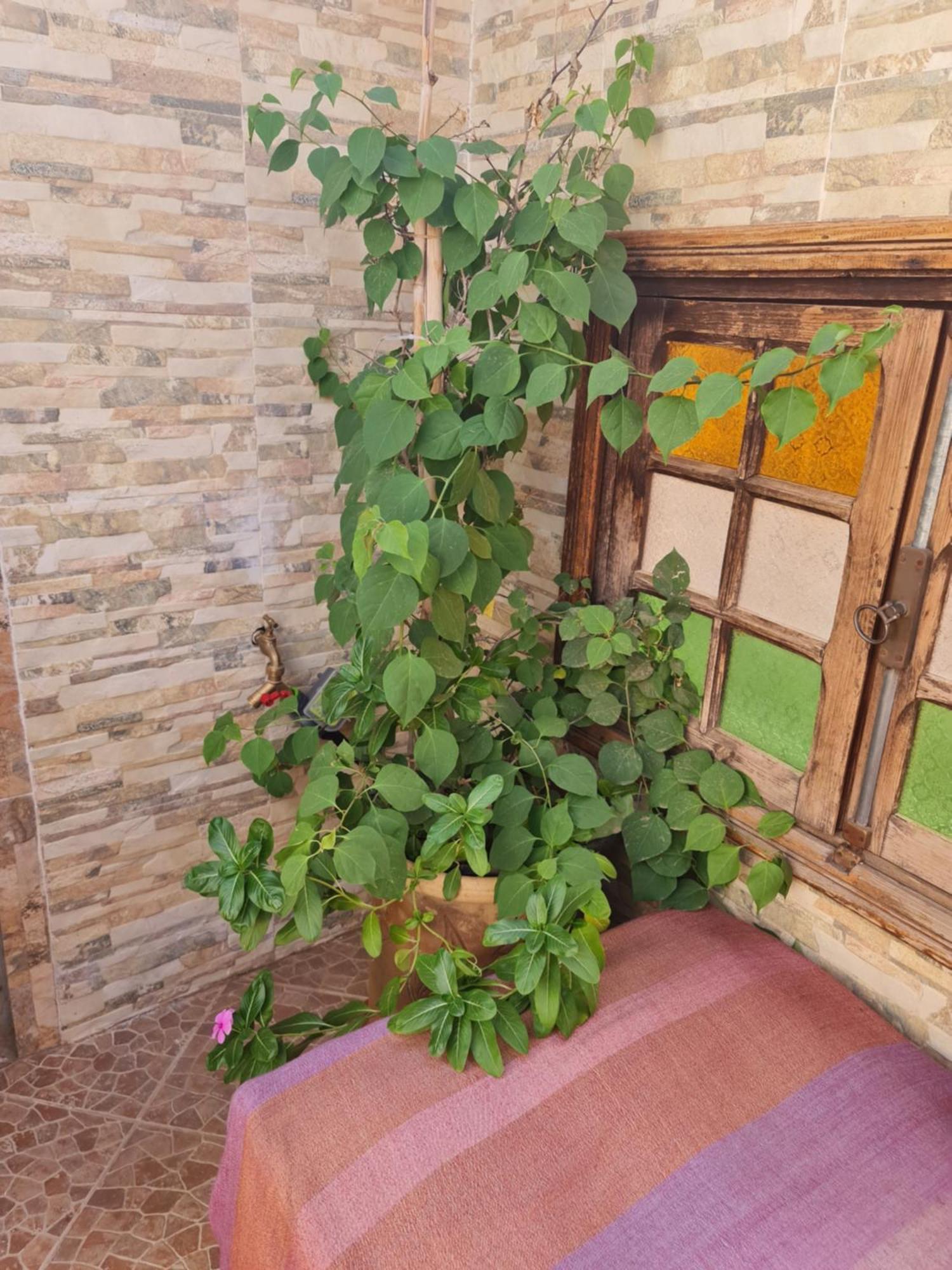 Riad Bab Almadina Marrakesh Esterno foto